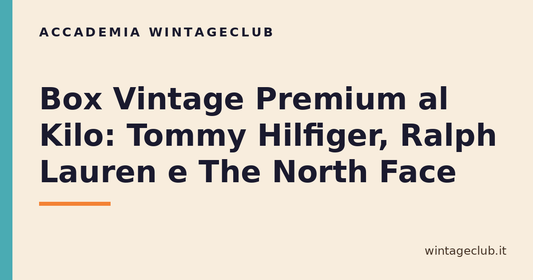 Guida box vintage premium al kilo — Accademia WintageClub per rivenditori vintage