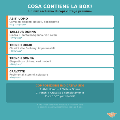 Cosa contiene la Vinted Reseller Box - infografica contenuto kilo box vintage