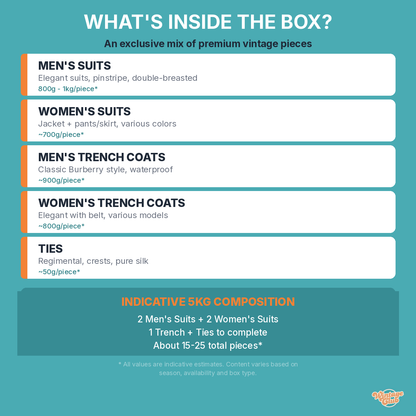 What's inside the Vinted Reseller KiloBox - vintage clothing infographic